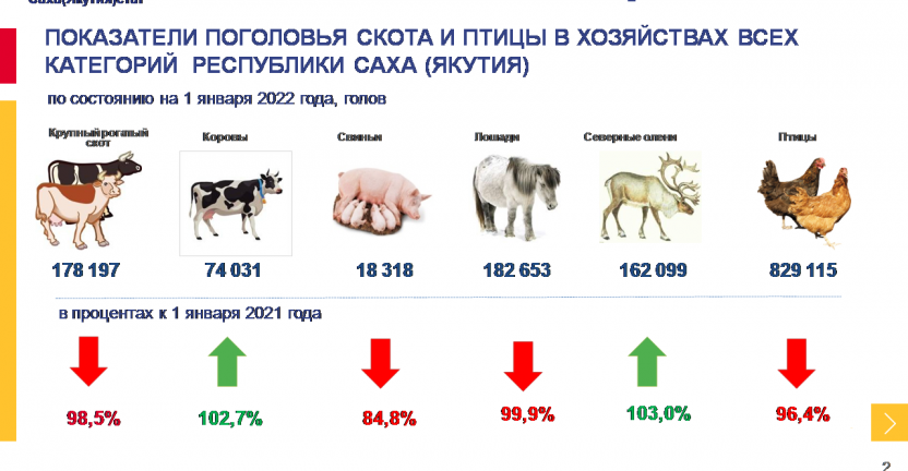 Поголовье скота и птицы в хозяйствах всех категорий Республики Саха (Якутия) по состоянию на 1 января 2022 года